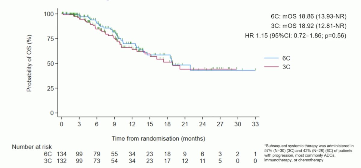 The median overall survival was 18.9 months in both arms (HR 1.15, 95% CI 0.72–1.86; p = 0.56):