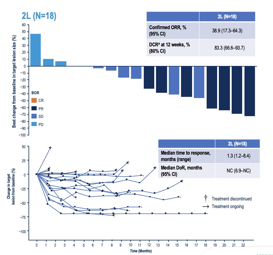 In the second line population, the confirmed objective response rate was 38.9% (95% CI 17.3-64.3), and the disease control rate was 83.3% (80% CI 66.6-93.7) at 12 weeks: