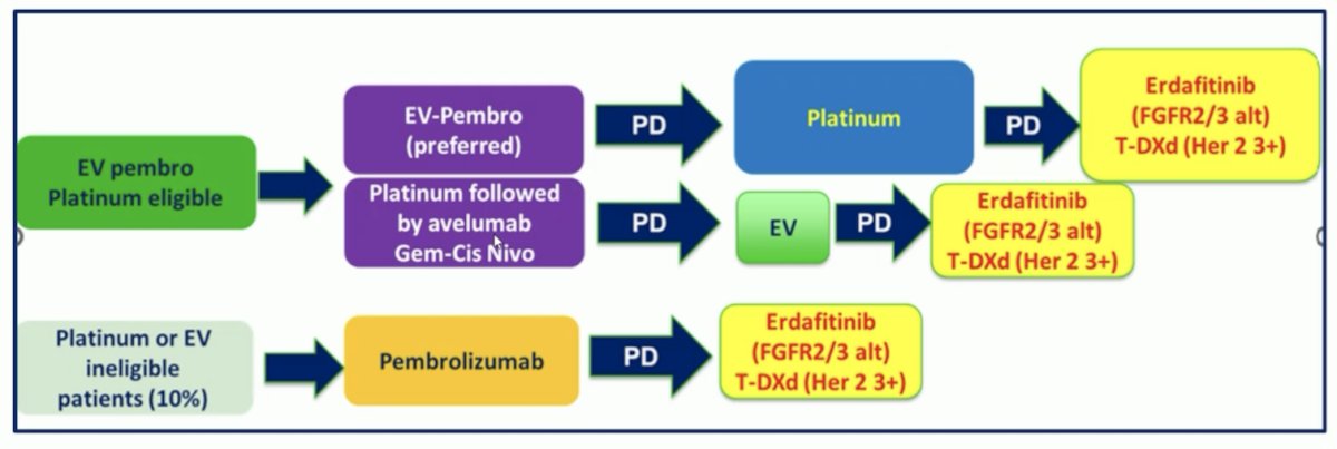 Finally, Dr. Gupta discussed the phase 2 TROPION-PanTumor03 study. The first line and beyond treatment landscape in the enfortumab vedotin + pembrolizumab era is highlighted in the following figure:
