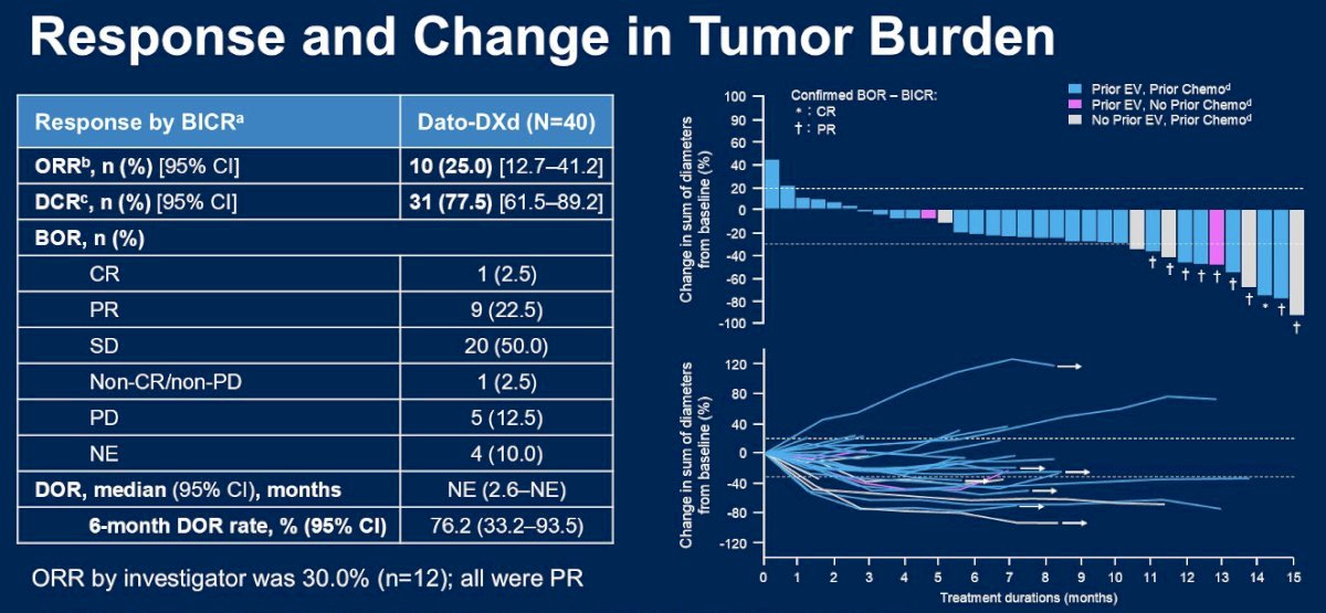 Presented at ASCO GU 2025, the phase 1 TROPION PanTumor01 study of datopotamab deruxtecan in locally advanced/metastatic urothelial carcinoma reported an objective response rate of 25%, and disease control rate of 77.5%. One patient (2.5%) had a complete response, and nine patients had a partial response (22.5%). The median duration of response was not evaluable at this interim analysis, but the 6-month duration of response rate was 76.2%: