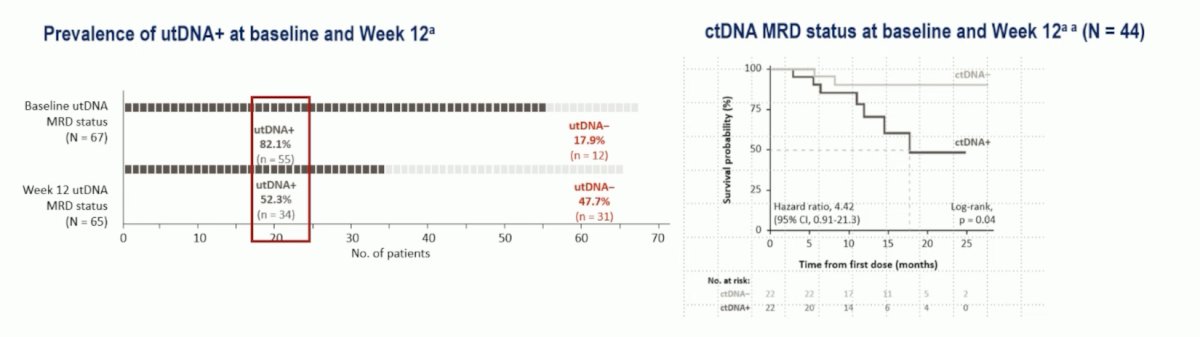 Dr. Zschäbitz emphasized that the absolute difference in pathologic complete response was 10%, and the absolute difference in 1-year recurrence-free survival rate was 13%. This analysis also showed that utDNA may also be a potential marker of local disease, specifically a utDNA-negative status at week 12 was strongly associated with pathological complete response, but not recurrence-free survival. cDNA may be a potential marker of non-local disease, specifically ctDNA negative status was strongly associated with longer recurrence-free survival, but not with pathologic complete response: