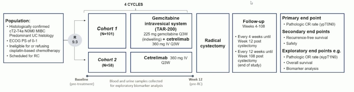 Finally, Dr. Zschäbitz discussed the SunRISe-4 trial. In SunRISe-4, eligible patients planned for radical cystectomy had age ≥18 years, an ECOG performance status of 0-1, cT2-T4a N0M0 muscle-invasive bladder cancer, and were ineligible/refusing neoadjuvant platinum-based chemotherapy. Patients were randomized 5:3, stratified by TURBT completeness (residual tumor ≤3 cm permitted) and T stage, to receive TAR-200 + cetrelimab (cohort 1) or cetrelimab alone (cohort 2). The primary endpoint was the pathologic complete response rate at radical cystectomy. Additional endpoints included pathologic overall response (defined as ≤ypT1) rate, recurrence-free survival, safety, and utDNA/ctDNA: