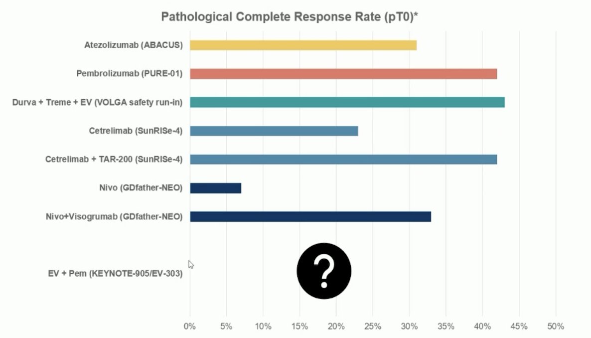 How does nivolumab + visugromab fit into the platinum-ineligible patients or those refusing chemotherapy landscape? The following highlights pT0 rates, with the caveat that the EV-303/KEYNOTE-905 trial will have data presented at the ESMO 2025 Presidential Symposium 1 session: