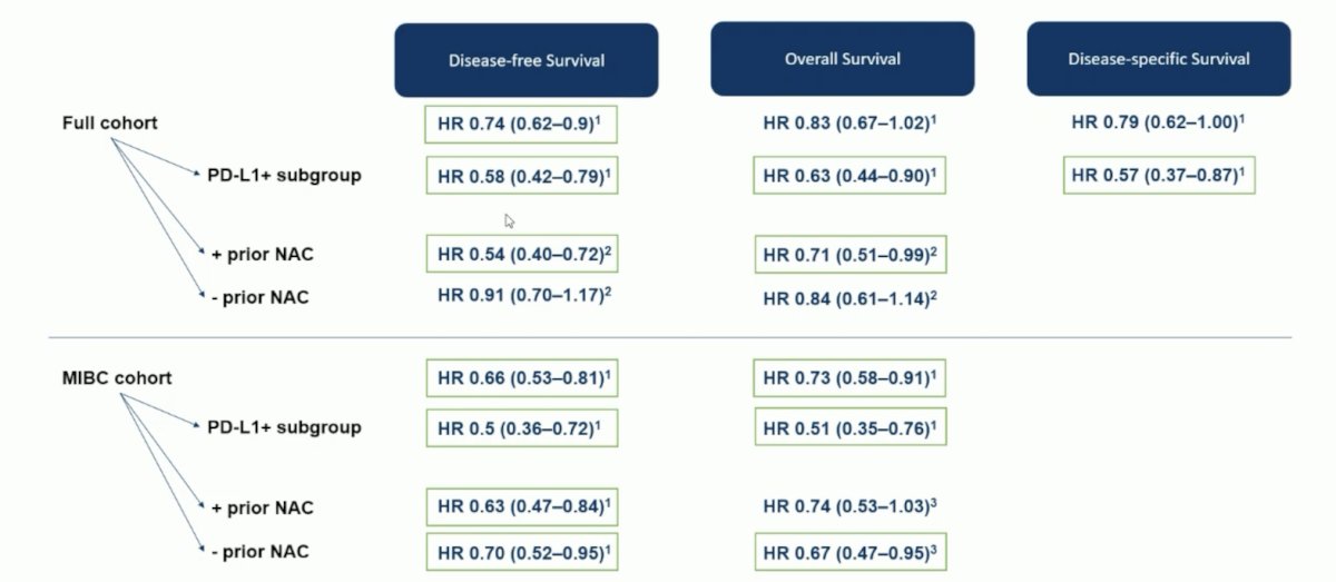 Next, Dr. Steiner discussed the 5-year outcomes of CheckMate 274, highlighting the disease-free survival, overall survival, and disease-specific survival outcomes amongst the full cohort and muscle-invasive bladder cancer cohort: