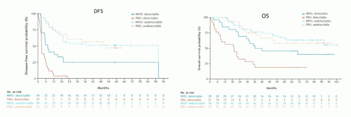 Dr. Steiner notes that ctDNA helps select patients who benefit from adjuvant nivolumab. Within the ctDNA detectable subgroup, nivolumab improved median disease-free survival (HR 0.35, 95% CI 0.18-0.66) and overall survival (HR 0.41, 95% CI 0.20-0.83) versus placebo. Additionally, despite a small number of samples analyzed, the trend of improvement for disease-free survival and overall survival is evident in patients with undetectable ctDNA: