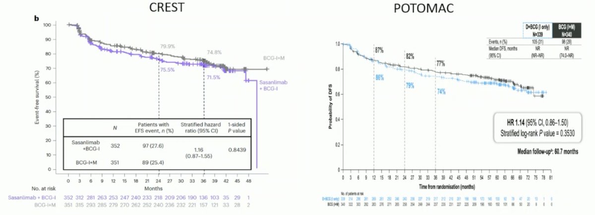 There are several important points regarding CREST and POTOMAC. Of note, systemic immune checkpoint inhibitor therapy is not a replacement for adequate BCG: