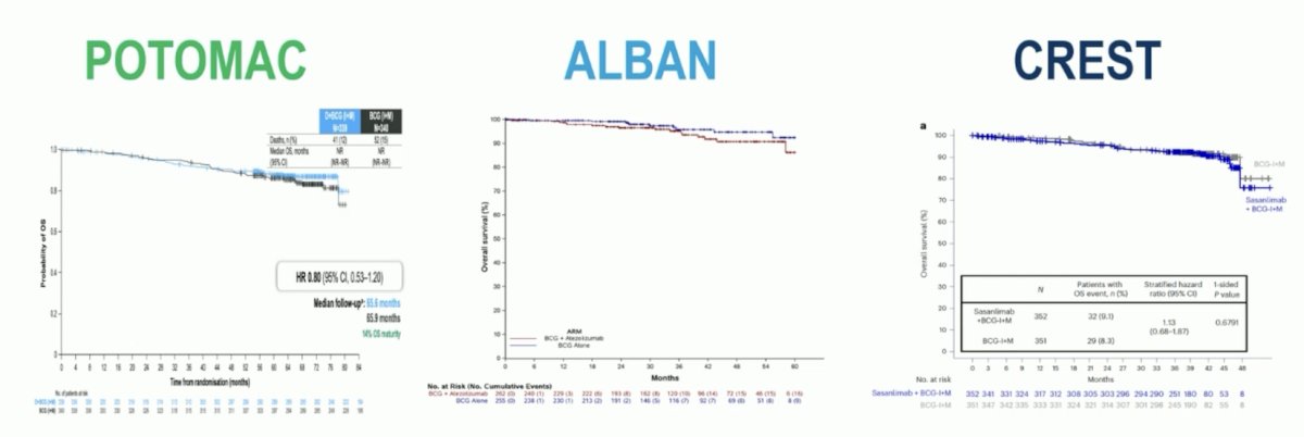 Regardless of event-free survival efficacy, it is important to note that there was no detrimental effect on overall survival across all 3 trials (with the longer follow-up in POTOMAC noteworthy):