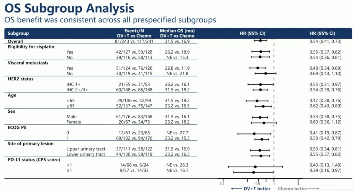 Subgroup analysis of OS demonstrated significant benefits in favor of DV+T across all subgroups, including HER2 expression status (1+ vs 2+/3+).