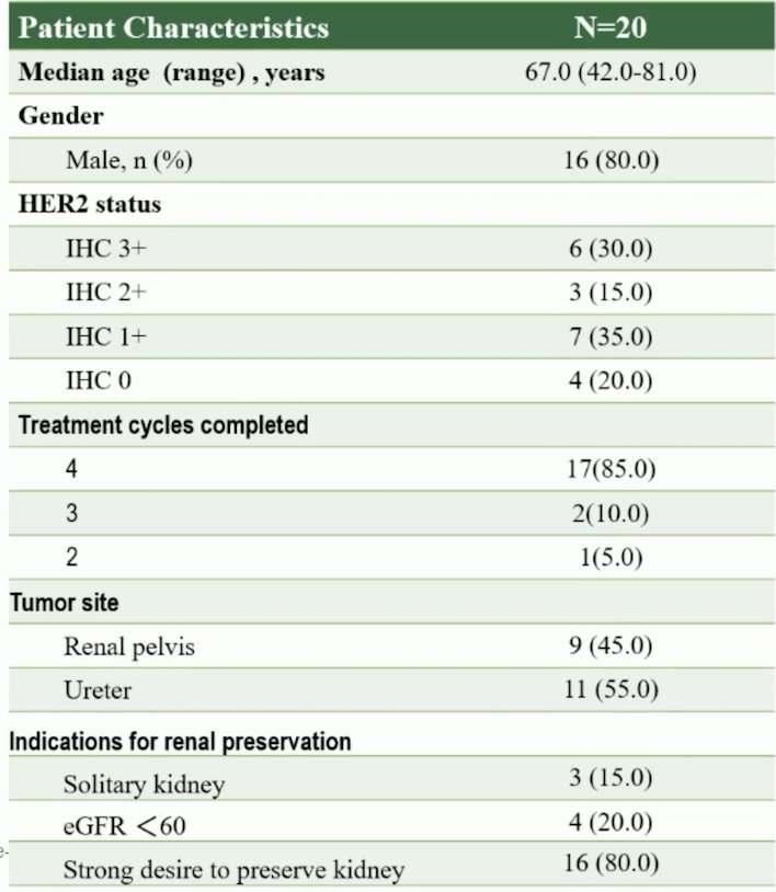 DISTINCT Trial HER2 status by biopsy IHC.jpg