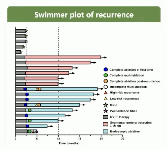 DISTINCT-I  Swimmer Plot Recurrence.jpg