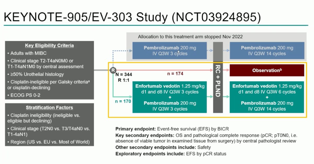 Dr. Vulsteke presented the first interim analysis of the phase 3 KEYNOTE-905/EV-303 trial (NCT03924895), comparing observation versus perioperative enfortumab vedotin plus pembrolizumab, consisting of neoadjuvant EV + pembrolizumab followed by RC + PLND and adjuvant EV + pembrolizumab as highlighted below.