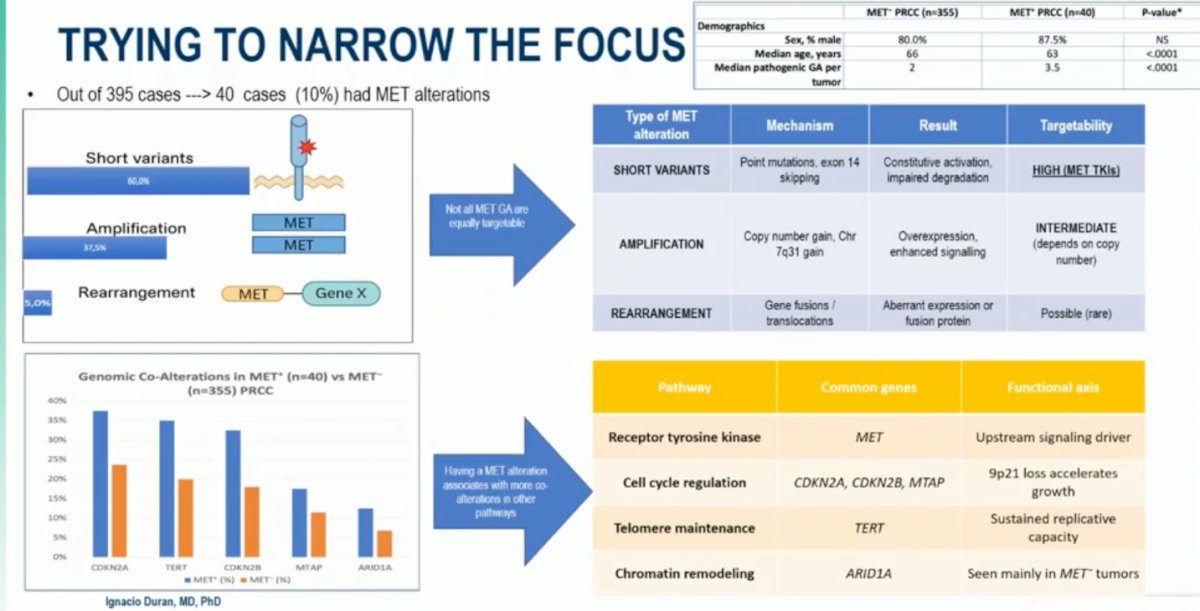 Out of 395 evaluated cases, 40 (10%) harbored MET alterations. Among these, short variants exclusively missense mutations were the most frequent, present in approximately 60% of MET⁺ tumors. MET amplifications accounted for 38% of cases, whereas rearrangements were rare, identified in only 5%. Interestingly, chromosome 7q gain was observed in both MET⁺ and MET⁻ papillary RCC tumors. While more frequent among MET⁺ cases, the key observation was that over half of MET⁻ tumors also demonstrated 7q gain, suggesting that this alteration alone may not fully explain MET pathway activation.