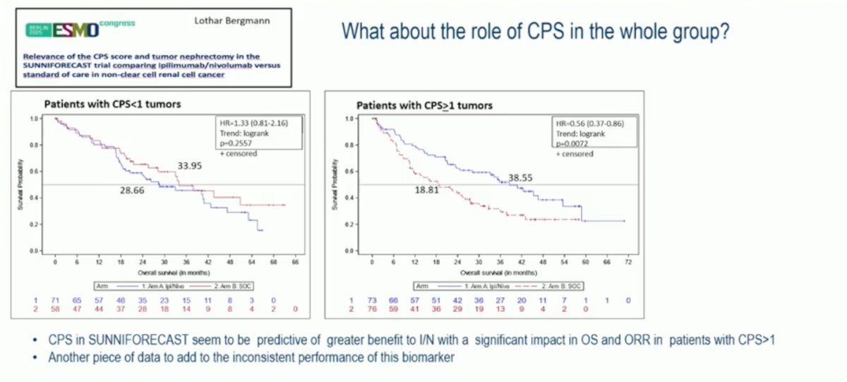 Dr. Duran moved on to discuss the study presented by Dr. Bergmann. Notably, CPS appeared to influence outcomes, with patients whose tumors expressed CPS ≥1 deriving greater benefit from ipilimumab plus nivolumab compared to standard of care (mOS 38.6 vs 18.8 months; HR 0.56, p=0.0072). In contrast, no difference was observed among patients with CPS <1 tumors (mOS 33.9 vs 28.7 months; HR 1.33, p=0.2557). These findings suggest that CPS may serve as a predictive marker of response to dual immune checkpoint blockade; however, given the variability across studies, this adds yet another piece of evidence to the inconsistent and context-dependent performance of CPS as a biomarker in RCC.
