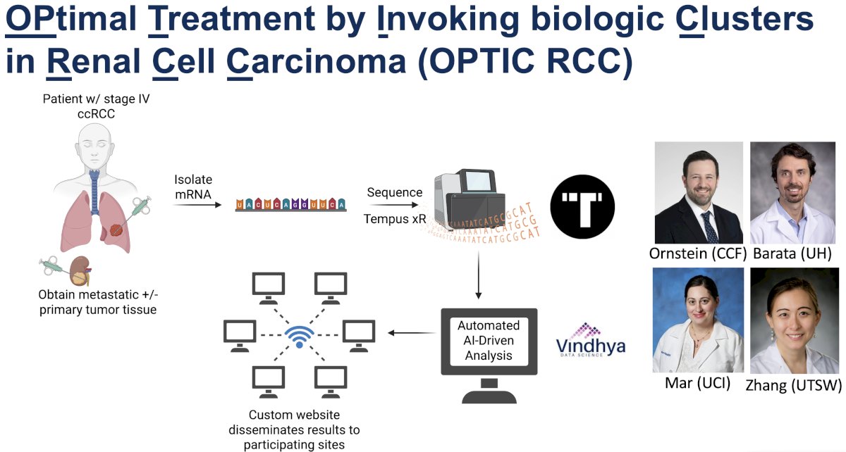 Patients with stage IV ccRCC were required to have tissue from the metastatic site. mRNA was isolated, and RNA sequencing was performed by Tempus. Vindhya Data Science developed a cloud-based, automated, AI-driven data analysis algorithm that would process the data in real time without the need for an "on-call" bioinformatician. VDS also designed a custom website to disseminate the clustering results to participating sites in real time.