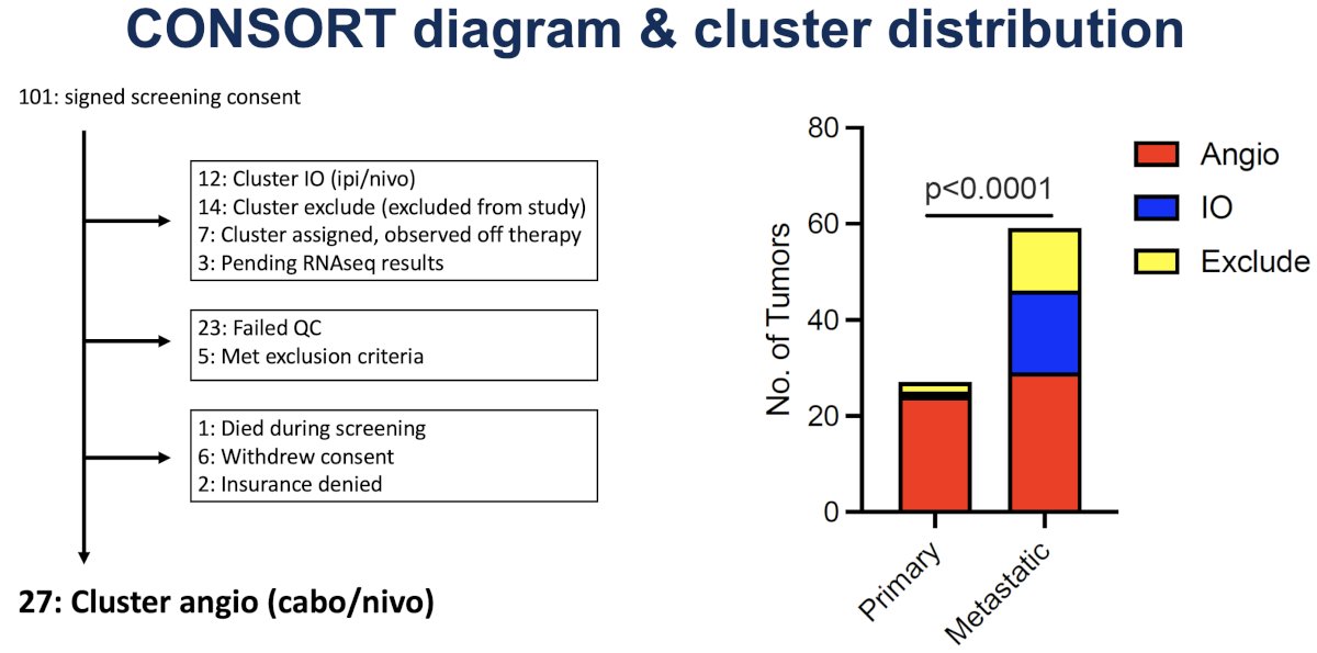 From these 101 patients, 27 patients are eligible, signed consent, and went on study. Interestingly, the study investigators observed significant discordance between primary and metastatic tissue cluster assignments. The primary tumors were biased towards the angiogenic signature, whereas the metastatic tumors displayed far more cluster diversity. Thus, after 17 patients were enrolled onto the cluster angio arm, the investigators transitioned to requiring metastatic tissue for cluster assignment so that OPTIC RCC would target the metastatic tumor biology.