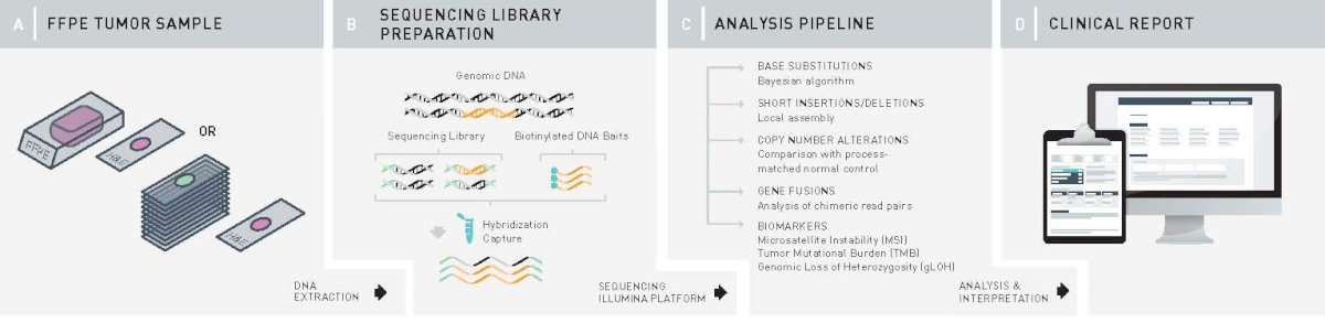 Their cohort included 395 papillary RCC cases, all analyzed using the FoundationOne CDx assay. This comprehensive genomic profiling platform evaluates tumor tissue for mutations, rearrangements, and copy number alterations across more than 300 cancer-related genes. For 382 of these cases, the investigators also leveraged a research-use-only version of the platform capable of estimating copy number at the chromosome arm level. In this approach, a chromosome arm is classified as gained if more than half of its segments exhibit a copy number exceeding the sample’s median. This enabled the detection of subtle, low-level gains on the long arm of chromosome 7 alterations that conventional genomic testing methods typically fail to capture.