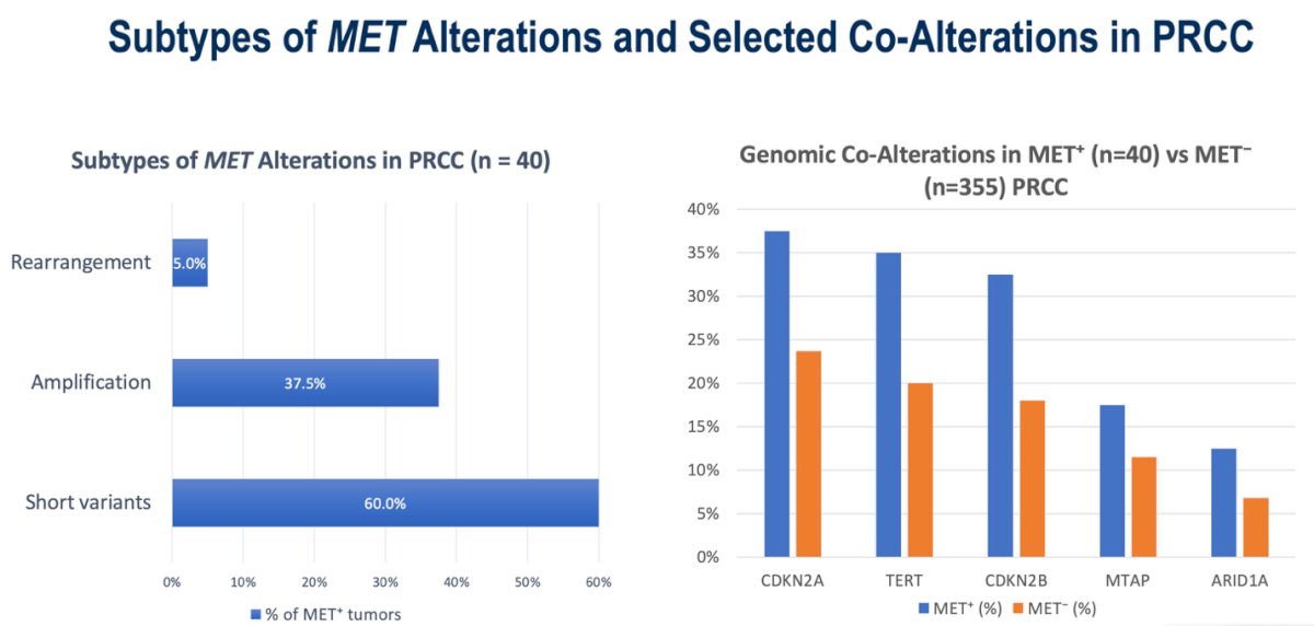 The investigators next examined the spectrum of MET alterations and their associated genomic co-alterations. As shown in the figure below, short variants, exclusively missense mutations, were the most common type, occurring in 60% of MET⁺ tumors. MET amplifications were identified in 38% of cases, while rearrangements were rare, detected in only 5%. Regarding co-occurring genomic alterations, the most frequent in MET⁺ tumors were CDKN2A, TERT, and CDKN2B, followed by MTAP and ARID1A. Although no formal statistical analysis was performed due to the limited sample size, these findings suggest a recurrent pattern of cell-cycle and telomerase pathway dysregulation in MET-altered papillary RCC.