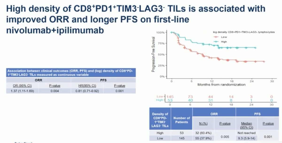 Patients with high biomarker density had an ORR of 60.4% compared to 37.9% in those with low density, with median PFS not reached versus 9.3 months (95% CI 5.9–14; p=0.001), suggesting that this phenotype may serve as a predictive biomarker of response to dual immune checkpoint blockade.