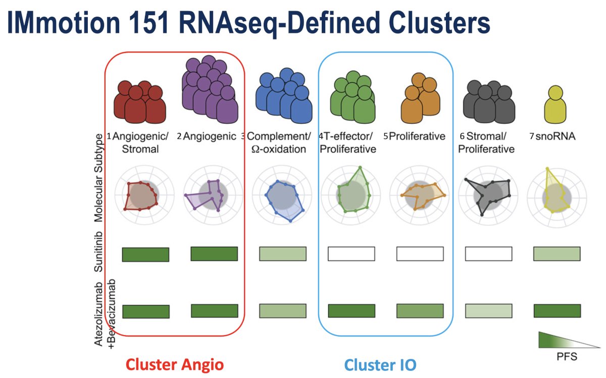 Shown below are the 7 clusters. Two of these clusters exhibited a strong angiogenic gene expression signature. These tumors are referenced as "cluster 1/2 or cluster angio".