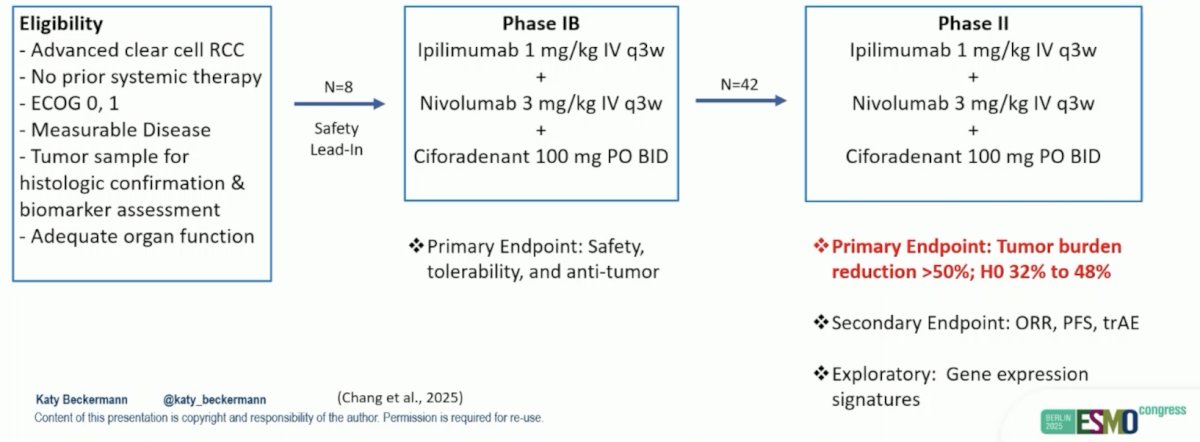 The phase 1b/2 trial of ipilimumab, nivolumab, and ciforadenant in first-line advanced RCC asked the question of whether we can do better than immunotherapy + immunotherapy in first-line treatment. In a phase I study of single-agent ciforadenant (n = 33) and ciforadenant + atezolizumab (n = 35), the response rate for monotherapy was only 3% and was 11% for the combination regimen. In the current trial, eligibility criteria included untreated advanced clear cell RCC, ECOG performance status 0 or 1, and measurable disease by RECIST 1.1. The study included a safety phase 1b lead-in with ciforadenant 100 mg BID orally, nivolumab 3 mg/kg, and ipilimumab 1 mg/kg q3 weeks and a phase 2 dose-expansion. The primary objective was to assess safety and depth of response >50% based on a Bayesian design (H0&nbsp;32%, H1&nbsp;48%):&nbsp;