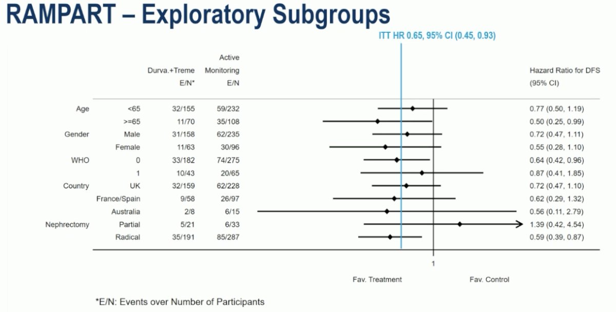 Subgroup analyses demonstrated a consistent DFS benefit in favor of adjuvant therapy.