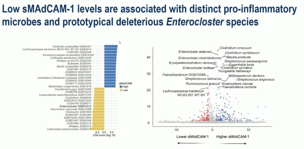 In addition, using metagenomic sequencing, the investigators found that low soluble MAdCAM-1 levels were linked to a distinct pro-inflammatory gut microbiome signature. Specifically, patients with low sMAdCAM-1 exhibited enrichment of deleterious Enterocloster species (including E. aldenensis, E. clostridioformis, and E. bolteae), which are known to promote dysbiosis and inflammation. Conversely, higher MAdCAM-1 levels correlated with the presence of potentially beneficial commensal bacteria, such as Lachnospiraceae bacterium and Blautia producta. These findings suggest a close interplay between gut microbial composition and systemic immune regulation through the MAdCAM-1 axis.