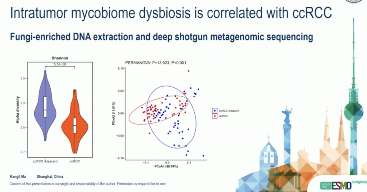 Dr. Ma emphasized that intratumor mycobiome dysbiosis is correlated with Clear Cell Renal Cell Carcinoma (ccRCC). He presented findings from an analysis of fungal communities in ccRCC, using fungi-enriched DNA extraction and deep shotgun metagenomic sequencing. Tumor and adjacent normal tissue samples from ccRCC patients were compared, revealing a significant reduction in fungal alpha diversity within tumor tissue (p=5.1e-08) and a distinct mycobiome composition between ccRCC and adjacent tissues (PERMANOVA F=13.923, p<0.001). These results indicate that intratumoral mycobiome dysbiosis is correlated with ccRCC, suggesting a potential role for fungi in tumor biology.