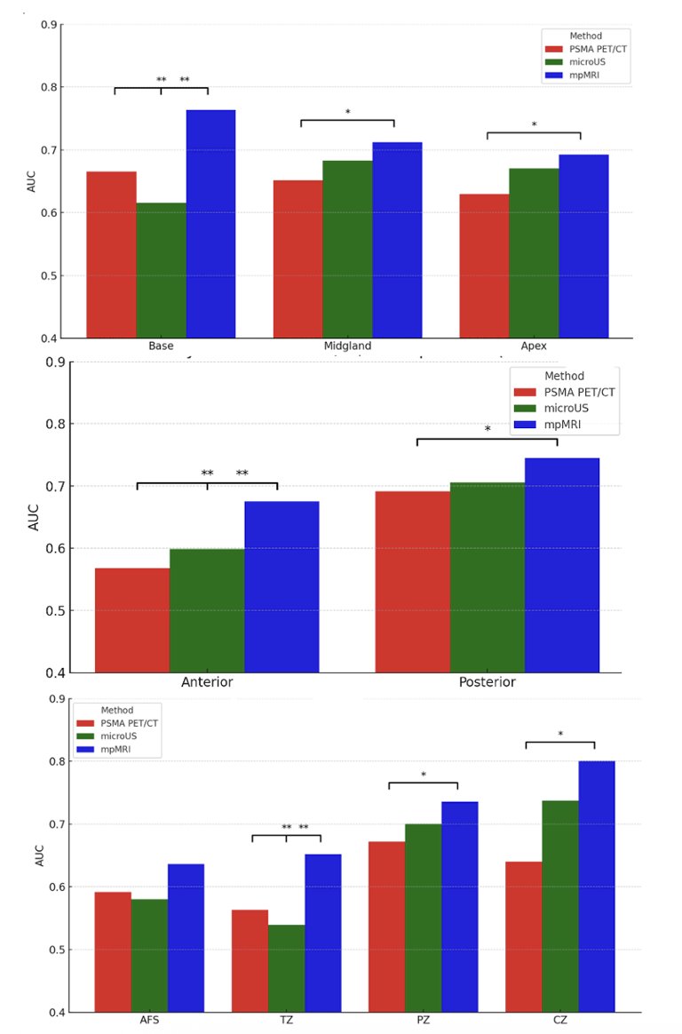 WSAUA 2025: Head-to-Head Comparison of Multimodal Imaging in the Detection of Prostate Cancer using Whole Mount Histopathology as a Reference image 4