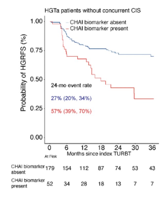 In patients with HG Ta non-muscle invasive bladder cancer without concurrent CIS, CHAI high-risk biomarkers were also significantly associated with high-grade recurrence-free survival (24-month rate: 57% versus 27%; HR 2.55, p < 0.001):