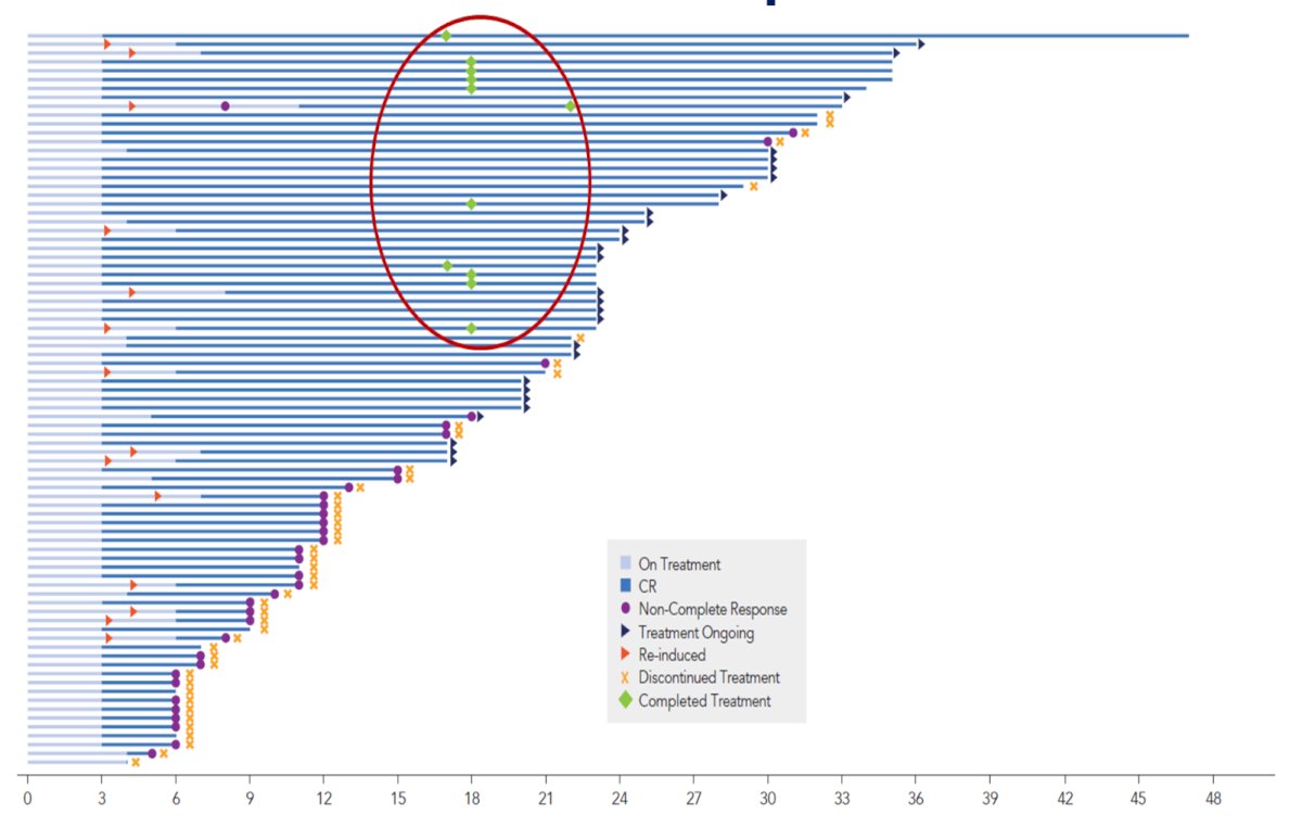 The Swimmer’s plot for individual treatment response in months is as follows: