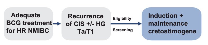 WSAUA 2025: Streamlined, Patient-Centric Design of the Cretostimogene Grenadenorepvec Expanded Access Program in Patients with NMIBC Unresponsive to BCG image 2