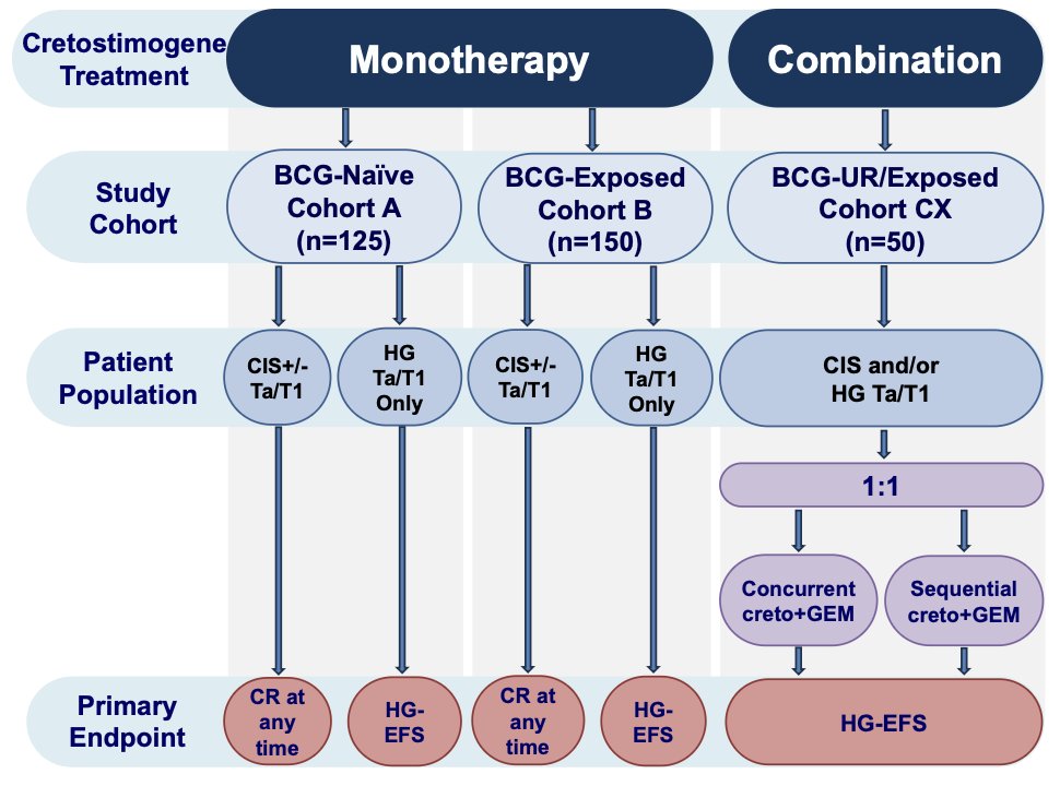 Eligibility criteria for CORE-008 comprises pathologic confirmation of high risk non muscle invasive bladder cancer (per the AUA/SUO guideline), CIS containing and papillary only. The study includes Cohort A (BCG-naive: no prior BCG, BCG >24 months ago, or 1-2 doses in past 24 months), Cohort B (BCG-exposed: recurrence after prior BCG), both receiving cretostimogene monotherapy, as well as Cohort CX (BCG-exposed and BCG-unresponsive), which will evaluate the safety and high grade event free survival of cretostimogene in combination with intravesical gemcitabine: