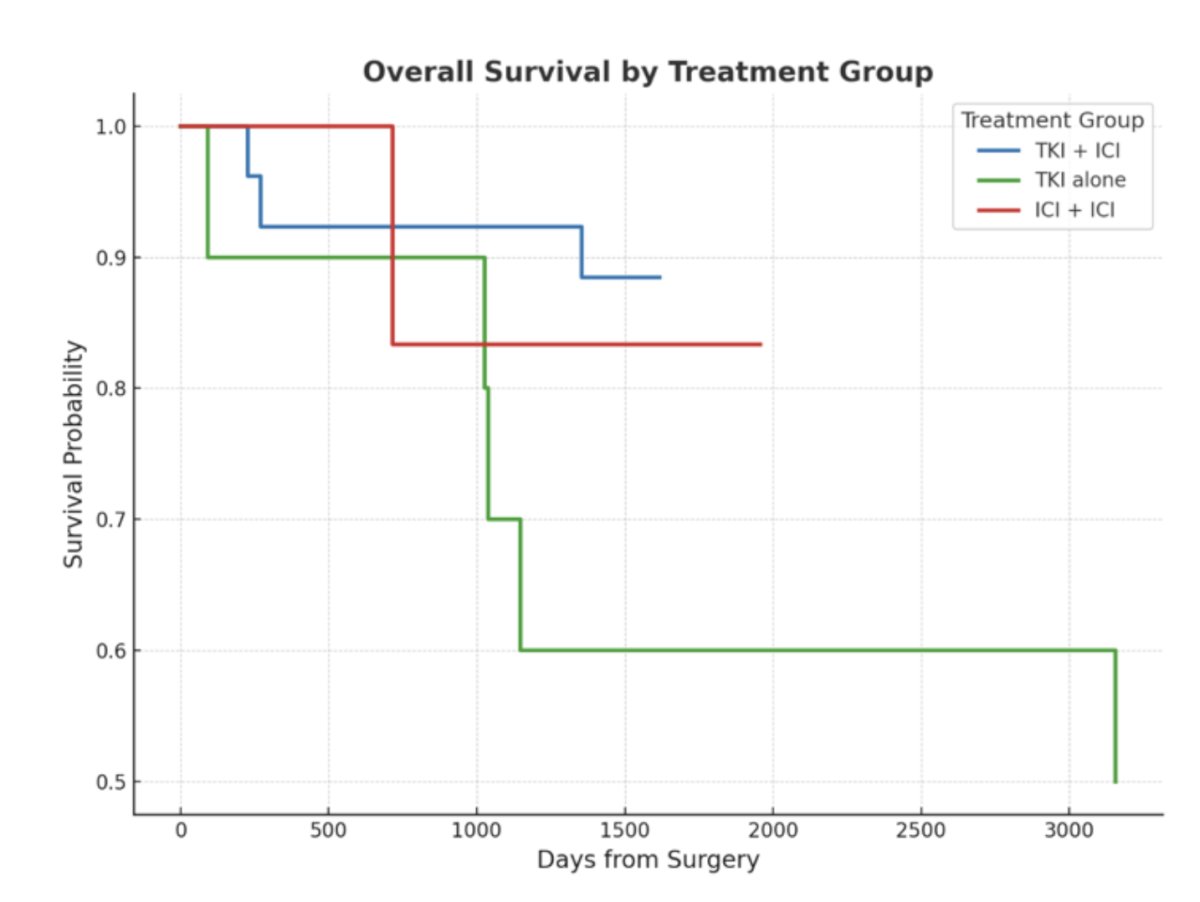 The median overall survival was longest in the tyrosine kinase inhibitor group (1,961 days), followed by immune checkpoint inhibitor + immune checkpoint inhibitor combination (716 days), and immune checkpoint inhibitor + tyrosine kinase inhibitor combination (270 days), although interpretation is limited by the small sample size and follow-up duration: