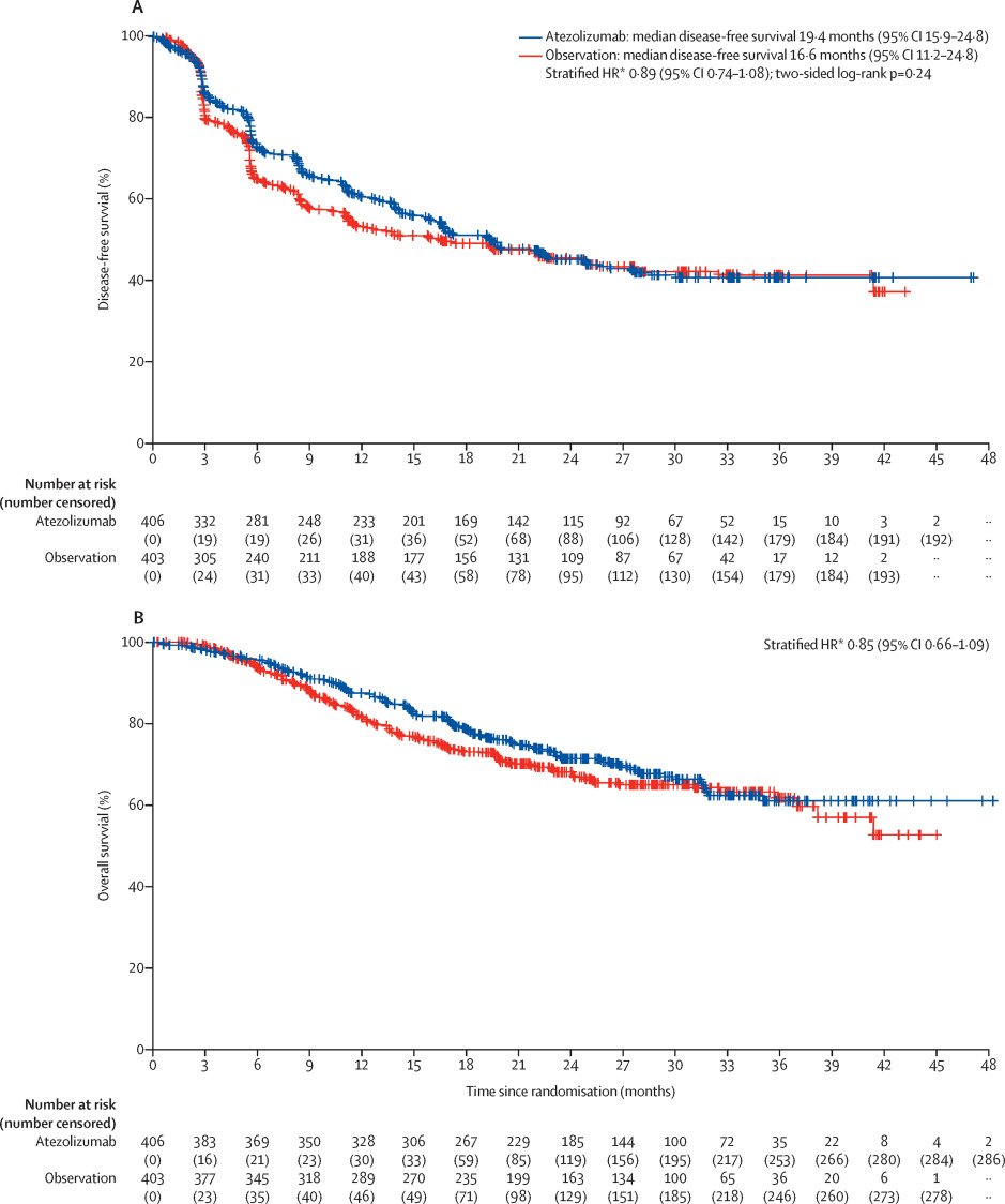 Previously, in the phase 3 IMvigor010 trial [5], adjuvant atezolizumab did not provide a significant disease-free survival or overall survival benefit to unselected patients with muscle-invasive bladder cancer: