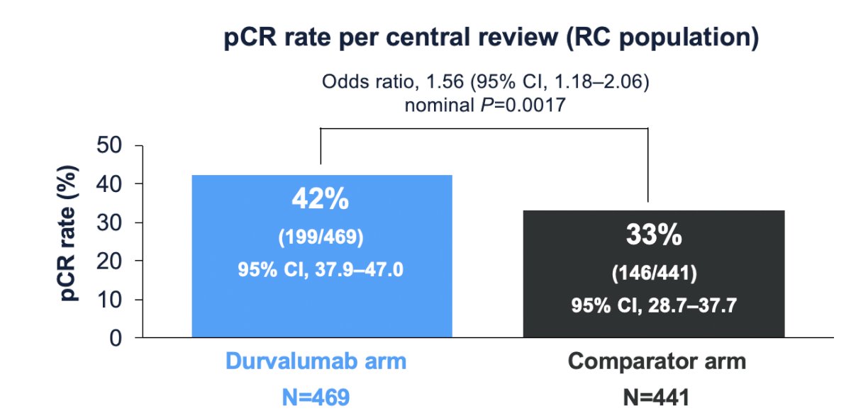 Pathological complete response per central review (in the radical cystectomy population) was 42% (95% CI 37.9%-47.0%) in the durvalumab arm versus 33% (95% 28.7%-37.7%) in the comparator arm (OR 1.56, 95% CI 1.18-2.06):