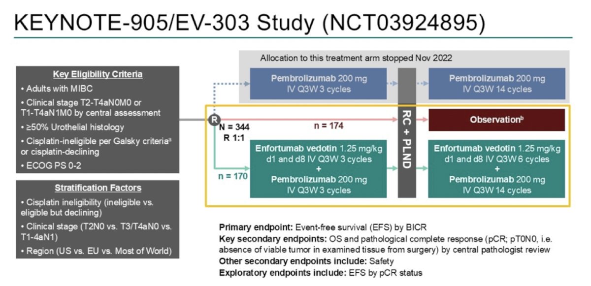 The KEYNOTE-905/EV-303 trial was first presented at ESMO 2025 by Dr. Christof Vulsteke. KEYNOTE-905/EV-303 enrolled adults with muscle invasive bladder cancer (≥50% urothelial histology) who were either cisplatin ineligible per Galsky criteria or declined cisplatin,&nbsp;had an ECOG performance status of 0-2, and clinical stage T2-T4aN0M0 or T1-T4aN1M0 disease. Patients were randomized across three study arms: two experimental perioperative arms, one with pembrolizumab alone and one with enfortumab vedotin + pembrolizumab, and a control arm of radical cystectomy + pelvic lymph node dissection followed by observation. Treatment in the experimental arms included three neoadjuvant cycles of pembrolizumab (with or without enfortumab vedotin), followed by radical cystectomy + pelvic lymph node dissection, and continued with 14 adjuvant cycles of pembrolizumab (plus six cycles of enfortumab vedotin in the enfortumab vedotin combination arm):