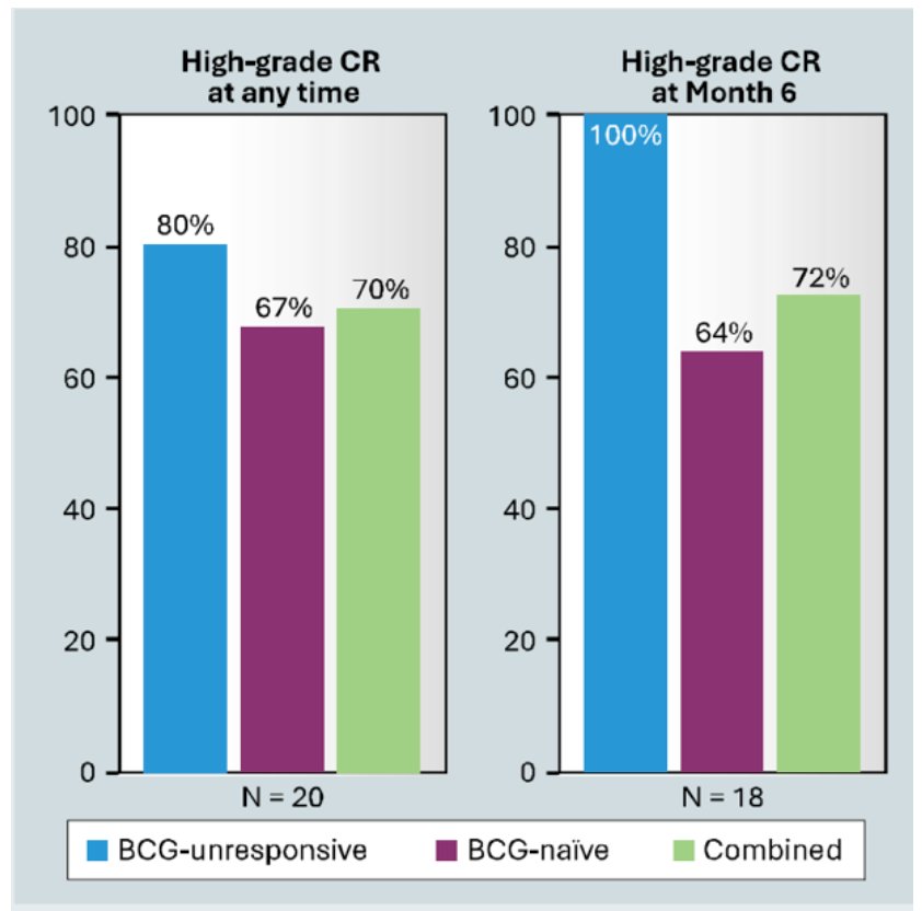 For the primary objective, the rate of high-grade complete response at any time was 70% overall, with 80% for BCG-unresponsive subjects and 67% for BCG-naive subjects. At month 6, the rates of high-grade complete response were 72% overall, 100% for BCG-unresponsive subjects, and 64% for BCG-naive subjects: