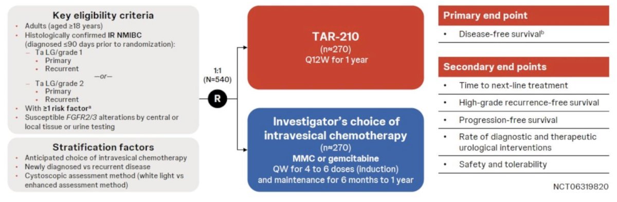 MoonRISe-1 is an open-label, multicenter, randomized phase III trial designed to evaluate the efficacy and safety of TAR-210 versus intravesical chemotherapy in patients with histologically confirmed, FGFR-altered, low-grade, intermediate-risk non muscle invasive bladder cancer (n = 540). Evaluation of FGFR2/3 alteration status is performed using central or local tissue or urine testing. Eligible participants will undergo 1:1 randomization to TAR-210 every 12 weeks for one year versus investigator’s choice of intravesical chemotherapy (mitomycin or gemcitabine) every week for 4–6 doses (induction), followed by maintenance for 6 months to 1 year. The primary endpoint is disease-free survival, with secondary endpoints of:
