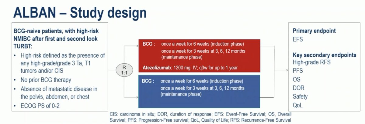 Next, Dr. Merrill discussed the ALBAN trial, initially presented at ESMO 2025. Eligible patients in ALBAN had histologically confirmed non muscle-invasive bladder cancer with high-risk features, no prior BCG therapy, ECOG performance status 0-2 were randomized 1:1 to BCG (6-weekly instillations followed by 3-weekly maintenance instillations at 3, 6, 12 months [Arm A]) or atezolizumab (1200 mg IV every 3 weeks for up to 1 year) combined with BCG delivered as in Arm A (Arm B). Randomization was stratified by the presence of CIS, and the primary endpoint was event-free survival. Key secondary endpoints included high-grade recurrence-free survival, overall survival, and safety. The trial design for ALBAN is as follows: