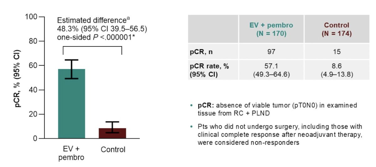 Pathological complete response, defined as the absence of viable tumor (pT0N0) in radical cystectomy specimens, was a key secondary endpoint of the study. The pathological complete response rate was 57.1% with enfortumab vedotin + pembrolizumab versus 8.6% with control (estimated difference 48.3%, one-sided p < 0.000001):