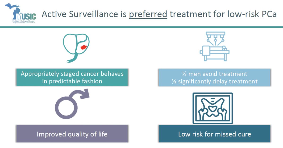 AS is now the preferred management strategy for GG1 prostate cancer, supported by numerous prospective and retrospective cohorts.⁴⁻⁶ These studies consistently show: