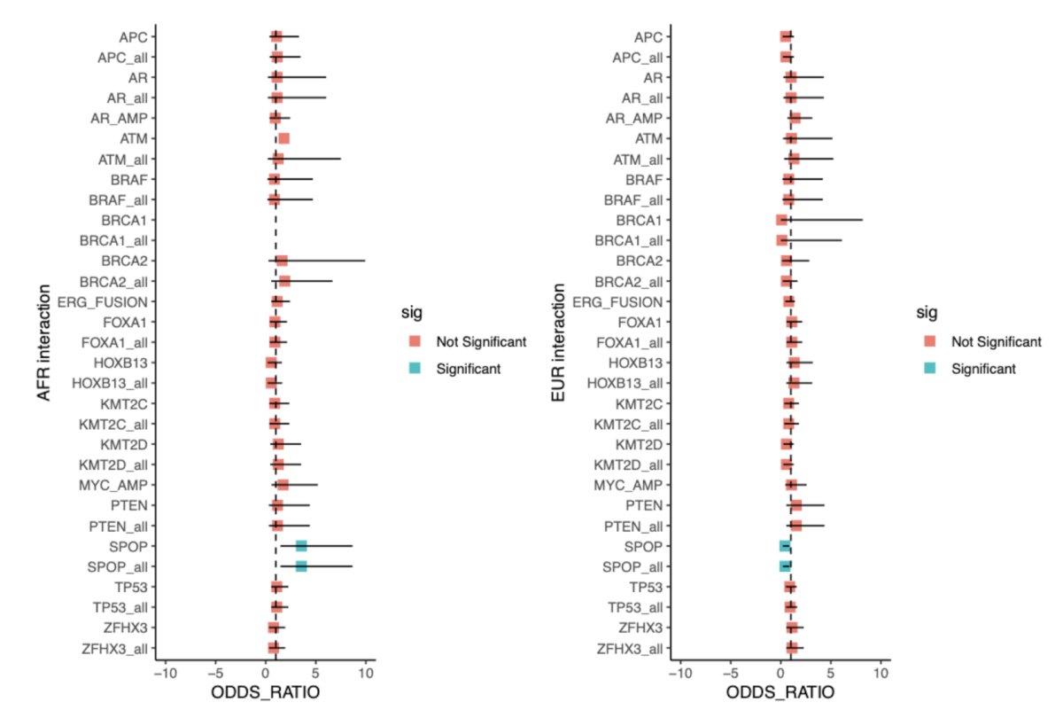 SPOP mutations demonstrated a significant ancestry-stage interaction (p < 0.05), being enriched in African metastatic tumors (OR 1.9, 95% CI 1.1–3.1) and depleted in European metastatic tumors (OR 0.7, 95% CI 0.5–0.9) despite similar prevalence in localized disease (African 11%, European 10%):