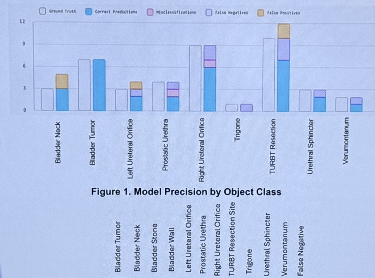 TURBT resection sites were identified with 91% mAP; however, this category showed the highest false-negative rate among all structures assessed.