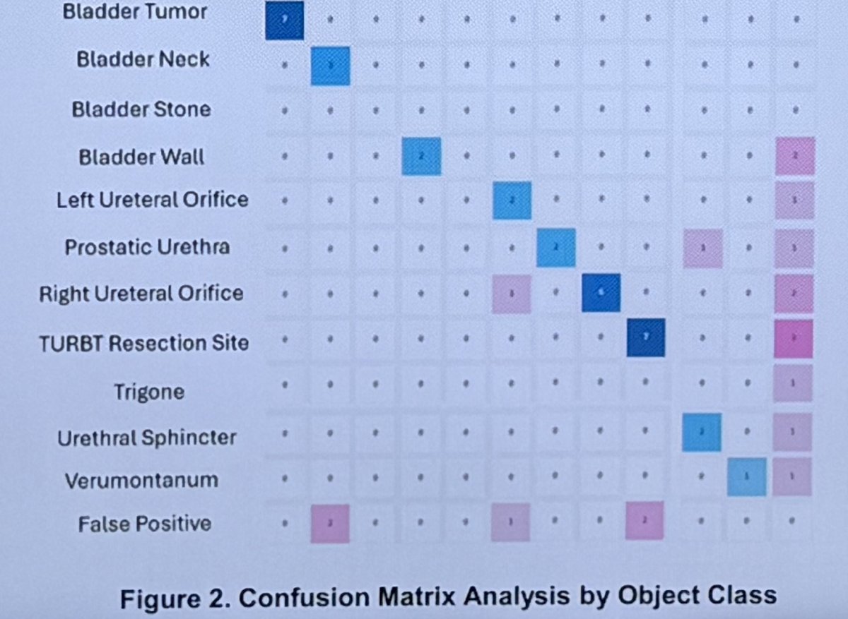 TURBT resection sites were identified with 91% mAP; however, this category showed the highest false-negative rate among all structures assessed. 2
