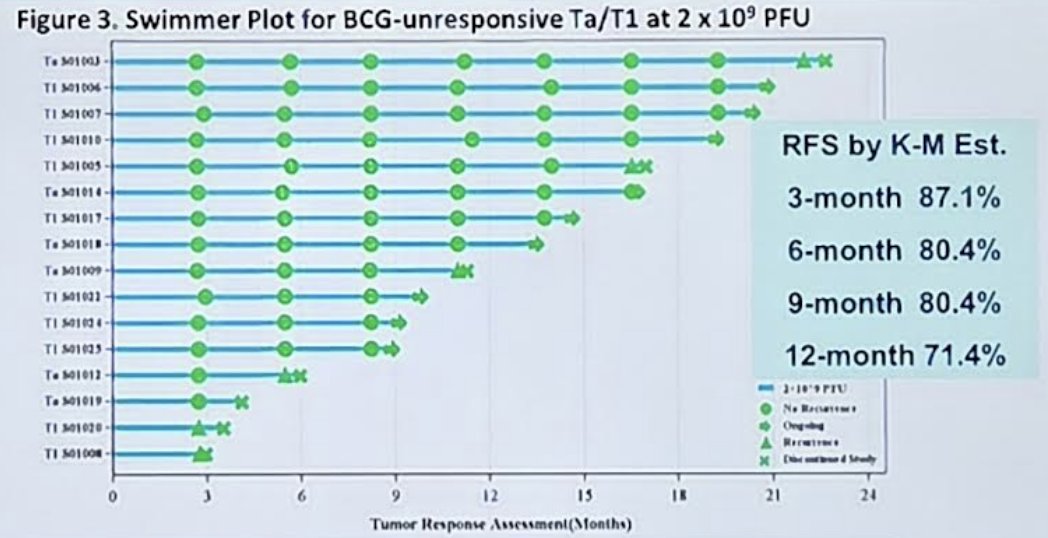 Among patients with BCG unresponsive Ta/T1 disease, at the MVR-T3011 dose of 2 × 109 PFU, the recurrence-free survival by Kaplan-Meier estimate at 3 months was 87.1%, at 6 months was 80.4%, at 9 months was 80.4%, and at 12 months was 71.4%: