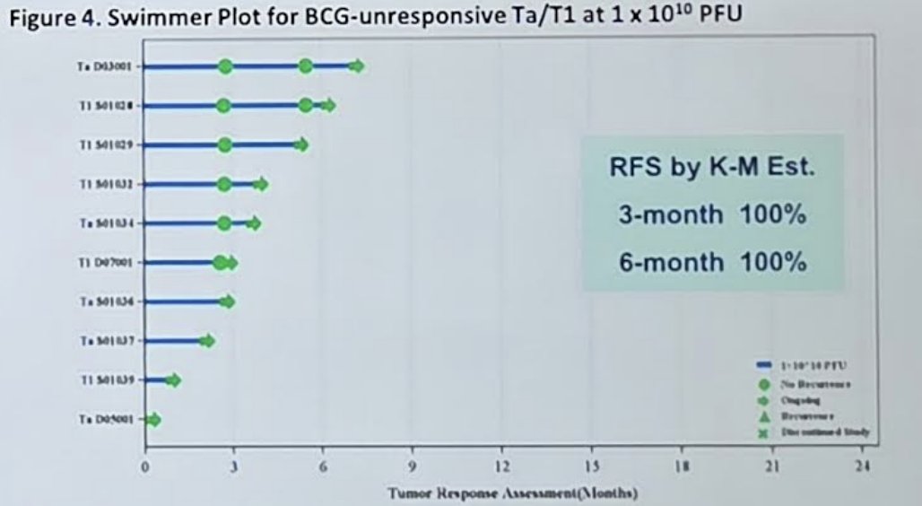 At the MVR-T3011 dose of 1 × 1010 PFU, the recurrence-free survival by Kaplan-Meier estimate at 3 and 6 months was 100%: