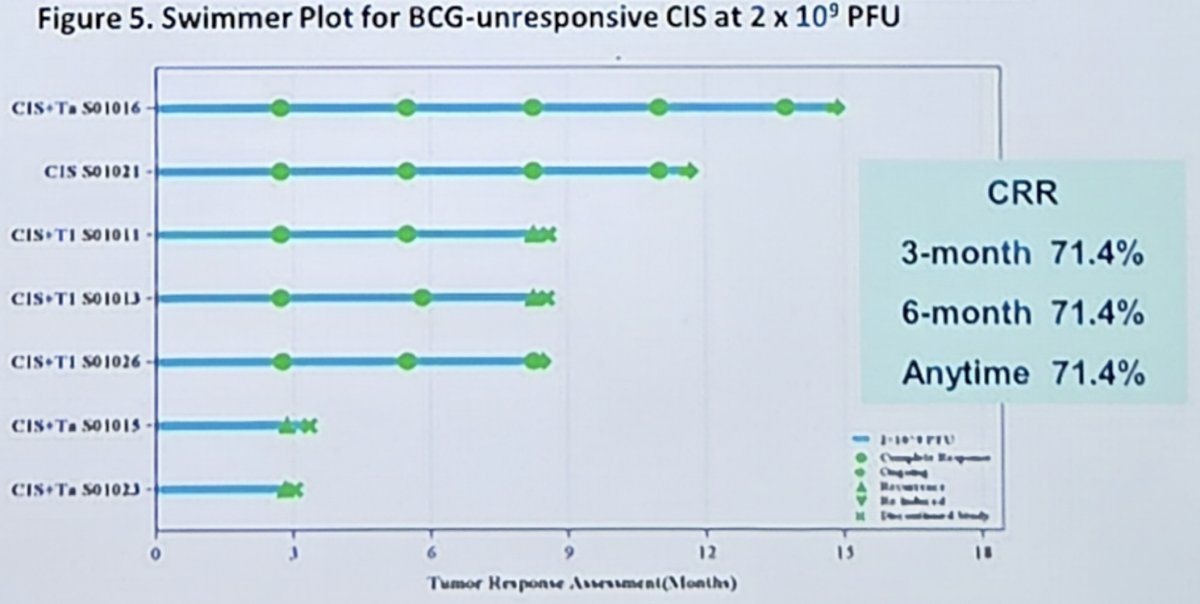 Among patients with BCG-unresponsive CIS, at the MVR-T3011 dose of 2 × 109 PFU, the complete response rate at 3, 6, and anytime was 71.4%: