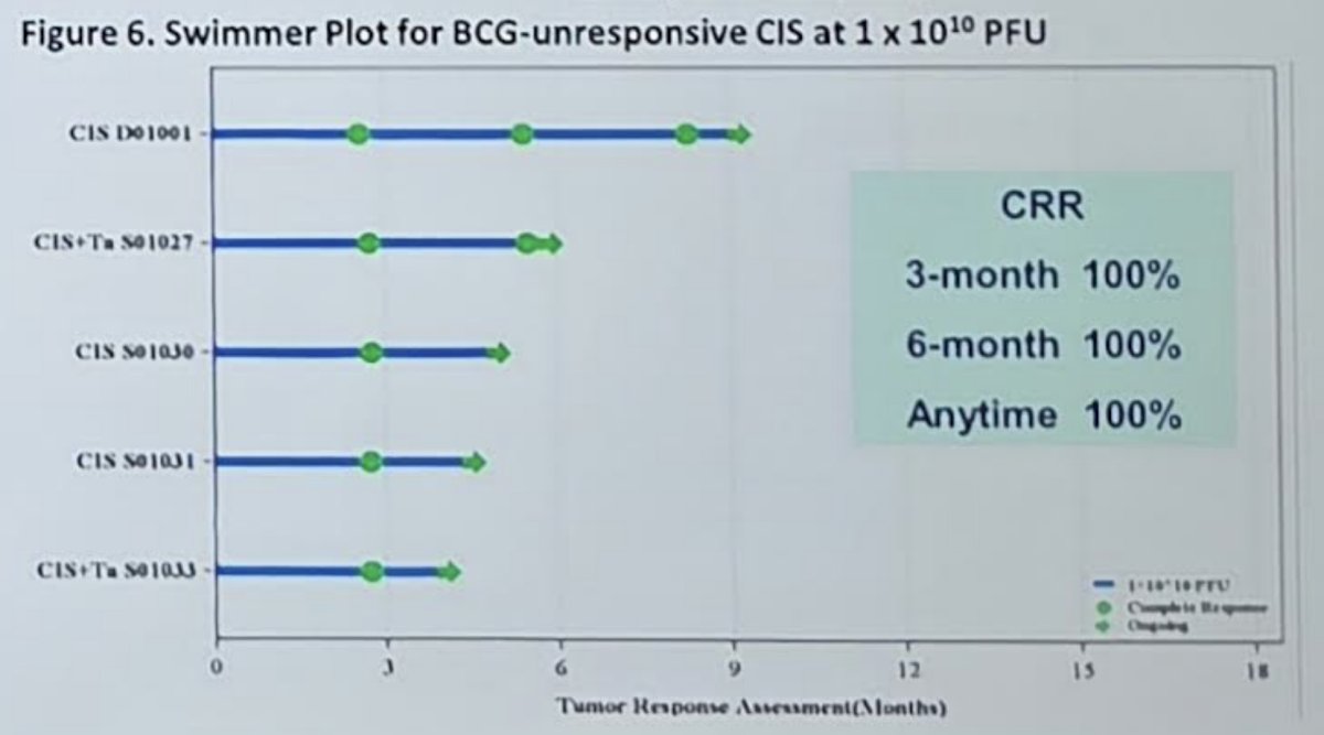 Among patients with BCG-unresponsive CIS, at the MVR-T3011 dose of 1 × 1010 PFU, the complete response rate at 3, 6, and anytime was 100%: