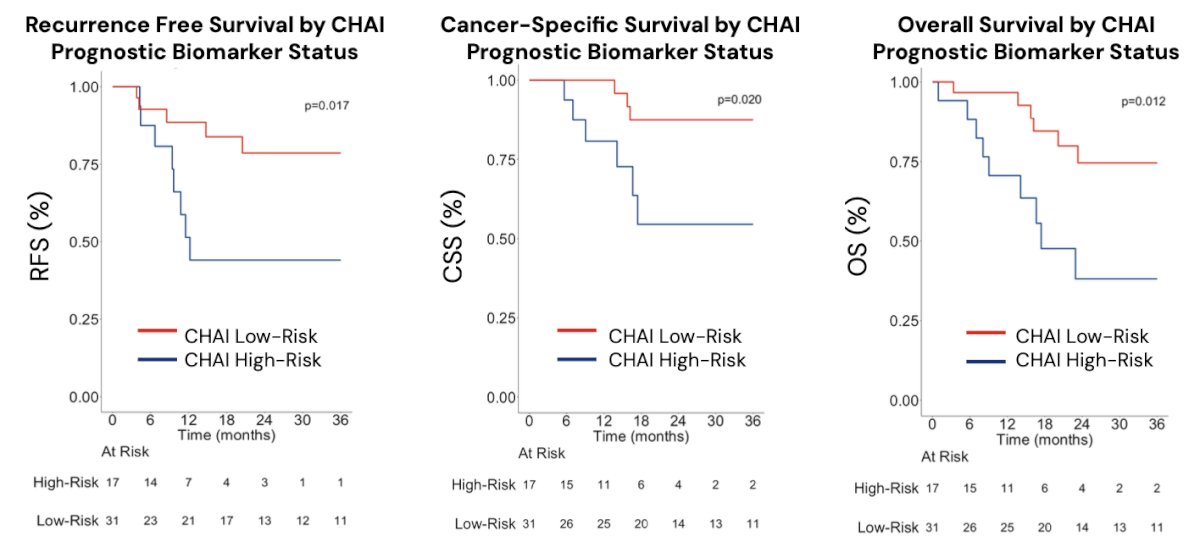 High-risk was significantly associated with inferior recurrence-free survival (HR 3.64, 95% CI 1.17, 11.3), cause-specific survival (HR 4.51, 95% CI 1.12, 18.1), and overall survival (HR 3.51, 95% CI 1.24, 9.95), all p < 0.05. Associations remained significant after controlling for age and presence of CIS (p < 0.05).