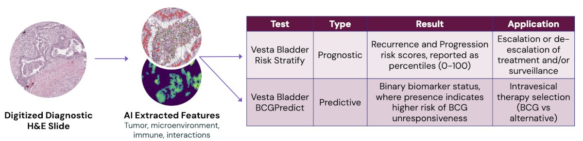 The median testing turnaround time was 2 days from specimen receipt, and all patients received both Vesta tests: